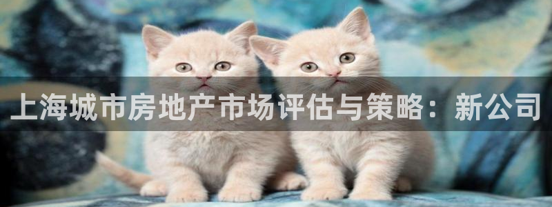 新宝5口67五壹叁八：上海城市房地产市场评估与策略：新公司