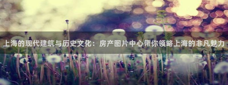 新宝5注册流程：上海的现代建筑与历史文化：房产图片中心带你领