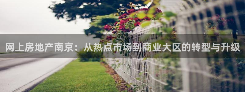 新宝5娱乐平台：网上房地产南京：从热点市场到商业大区的转型与