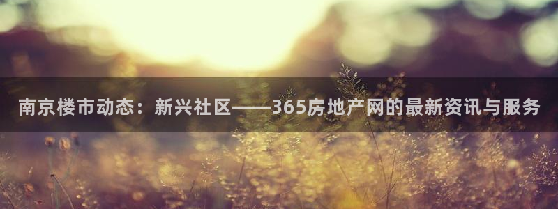 新宝5什么时候上市：南京楼市动态：新兴社区——365房地产网
