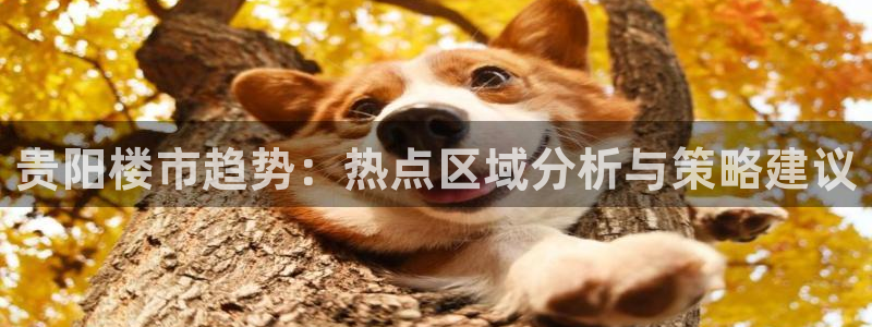 新宝5登录界面：贵阳楼市趋势：热点区域分析与策略建议