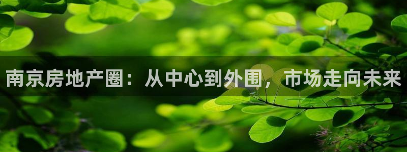 新宝5公司：南京房地产圈：从中心到外围，市场走向未来